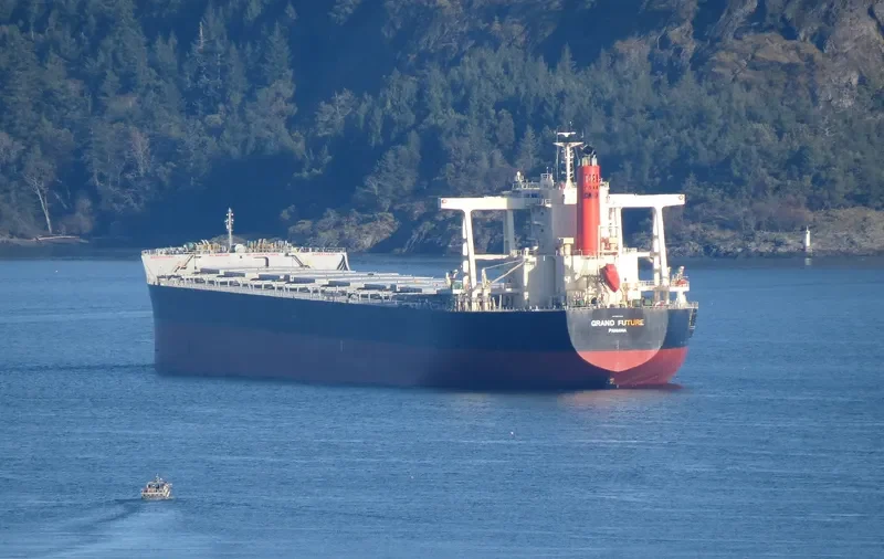 CAPE EAGLE Bulk Carrier IMO 9624469 photo 4