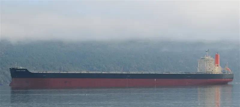 CAPE EAGLE Bulk Carrier IMO 9624469 photo 5