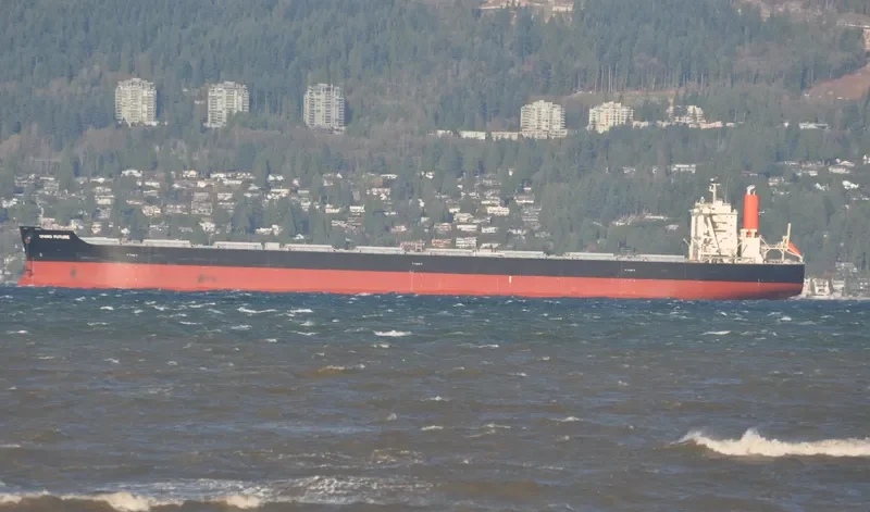 CAPE EAGLE Bulk Carrier IMO 9624469 photo 6