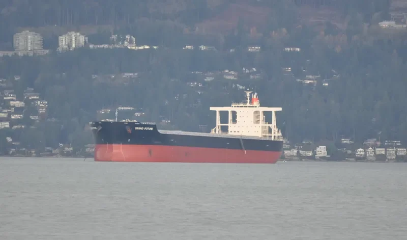 CAPE EAGLE Bulk Carrier IMO 9624469 photo 7