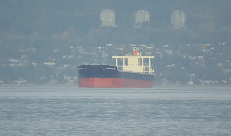 CAPE EAGLE Bulk Carrier IMO 9624469 photo 9