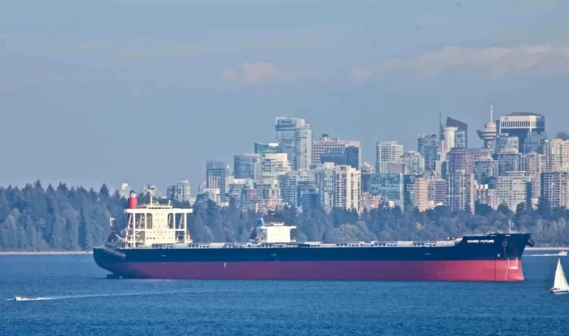 CAPE EAGLE Bulk Carrier IMO 9624469 photo 10