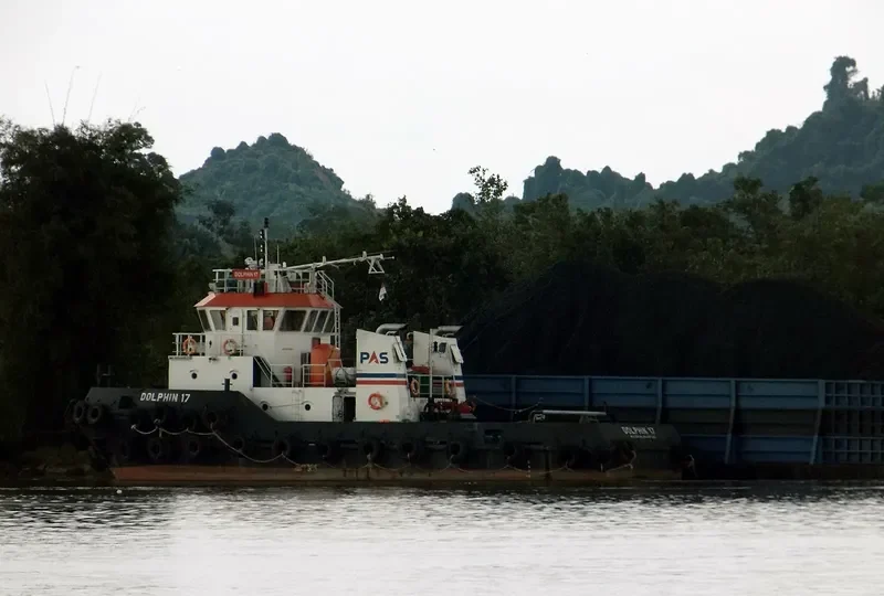 DOLPHIN 17 General Cargo IMO 9624495 photo 2