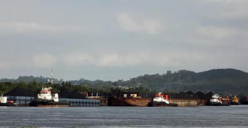 DOLPHIN 17 General Cargo IMO 9624495 photo 3