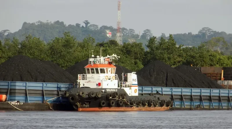 DOLPHIN 17 General Cargo IMO 9624495 photo 4
