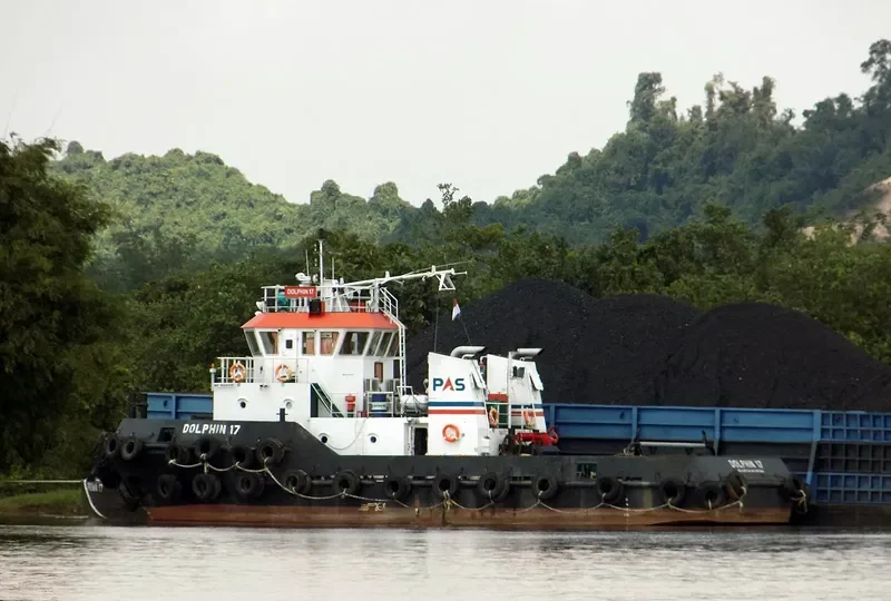 DOLPHIN 17 General Cargo IMO 9624495 photo 5