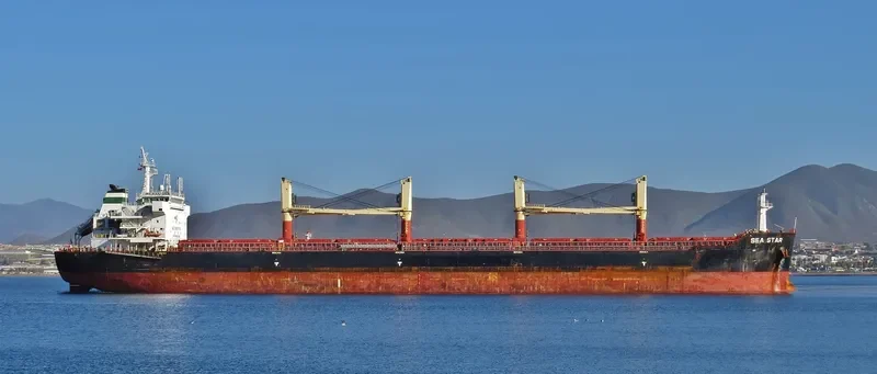 SEA STAR Bulk Carrier IMO 9624500 photo 2