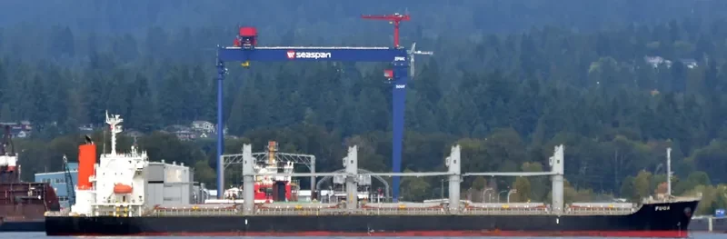 FUGA Bulk Carrier IMO 9624615 photo 4