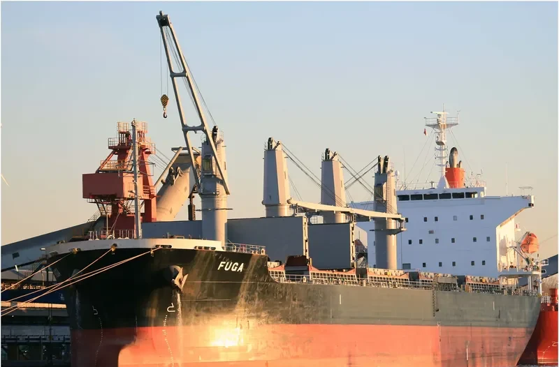 FUGA Bulk Carrier IMO 9624615 photo 10