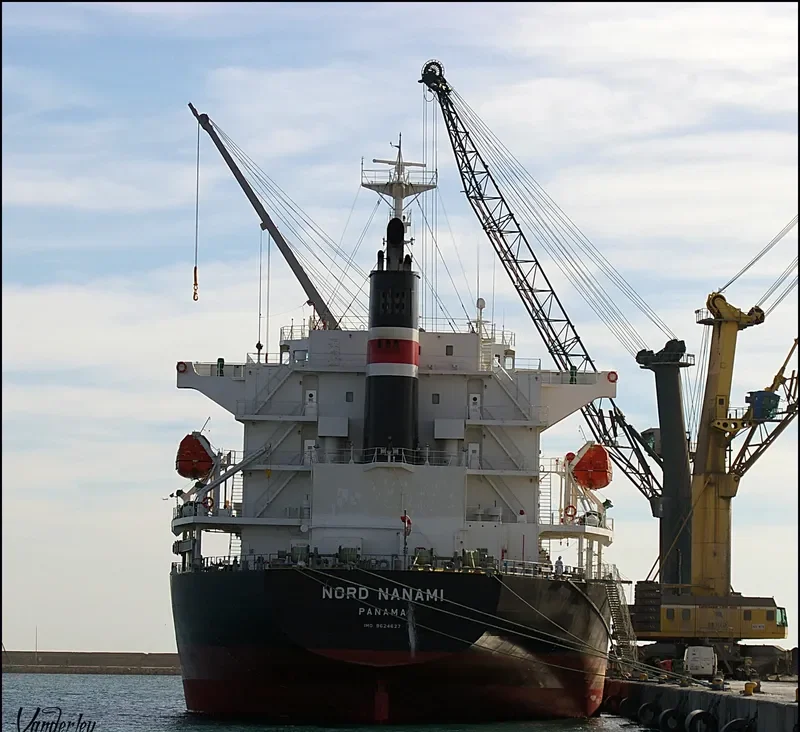 NORD NANAMI Bulk Carrier IMO 9624627 photo 9