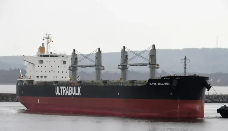 ULTRA BELLAMBI Bulk Carrier IMO 9624641