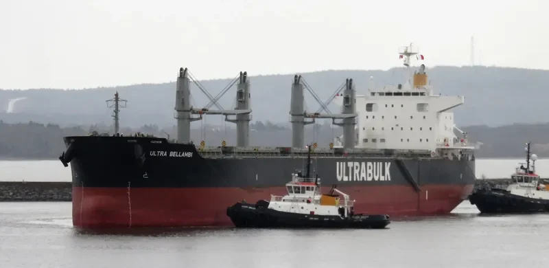 ULTRA BELLAMBI Bulk Carrier IMO 9624641 photo 2