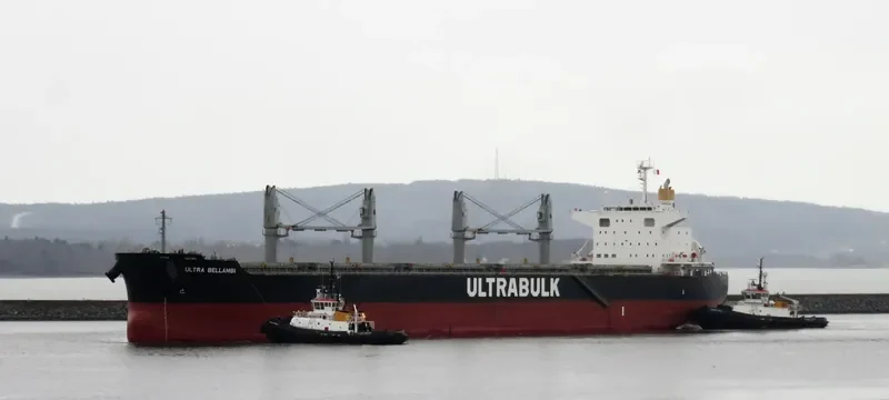 ULTRA BELLAMBI Bulk Carrier IMO 9624641 photo 3
