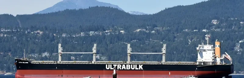 ULTRA BELLAMBI Bulk Carrier IMO 9624641 photo 5