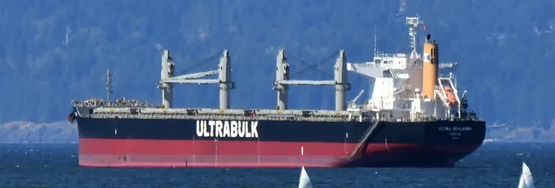 ULTRA BELLAMBI Bulk Carrier IMO 9624641 photo 6
