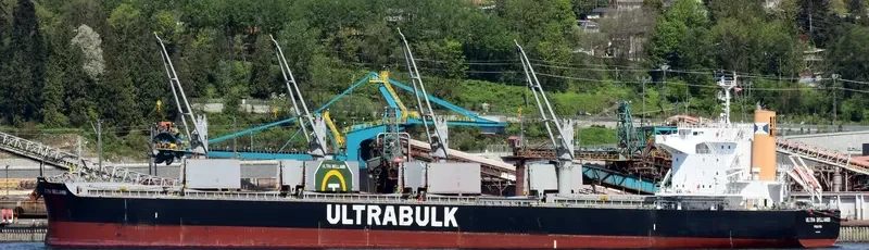 ULTRA BELLAMBI Bulk Carrier IMO 9624641 photo 8