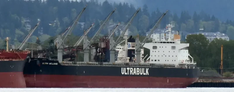 ULTRA BELLAMBI Bulk Carrier IMO 9624641 photo 9