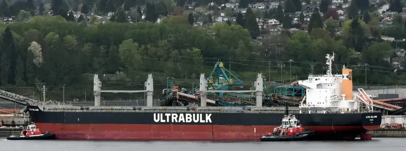 ULTRA BELLAMBI Bulk Carrier IMO 9624641 photo 10