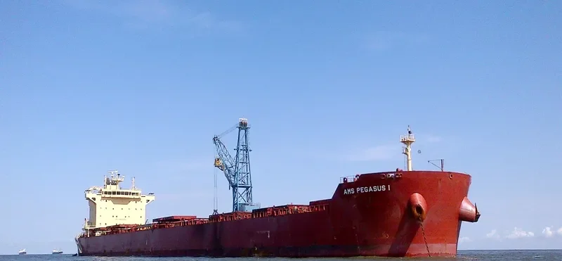 PEGASOS Bulk Carrier IMO 9624653