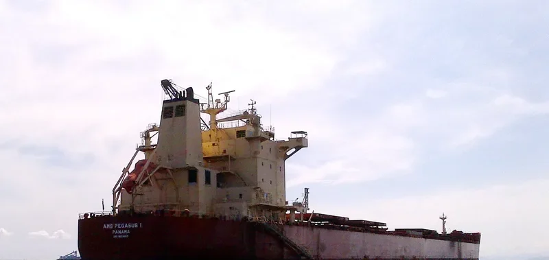 PEGASOS Bulk Carrier IMO 9624653 photo 2
