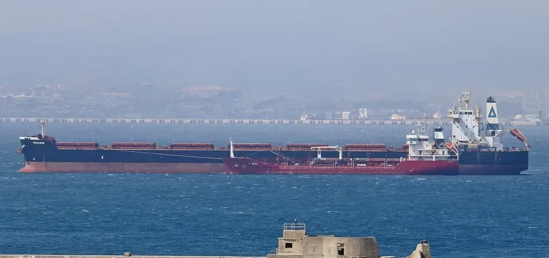 PEGASOS Bulk Carrier IMO 9624653 photo 3