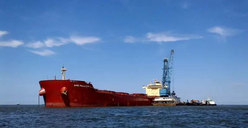 PEGASOS Bulk Carrier IMO 9624653 photo 4