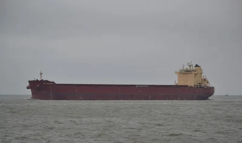PEGASOS Bulk Carrier IMO 9624653 photo 6