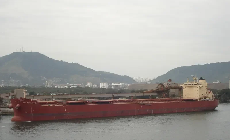 PEGASOS Bulk Carrier IMO 9624653 photo 7