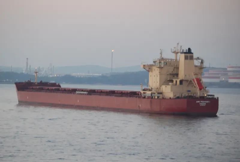 PEGASOS Bulk Carrier IMO 9624653 photo 9
