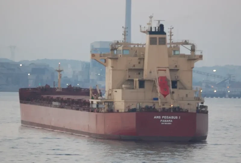PEGASOS Bulk Carrier IMO 9624653 photo 10