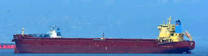 OCEAN CARRIER Bulk Carrier IMO 9624677