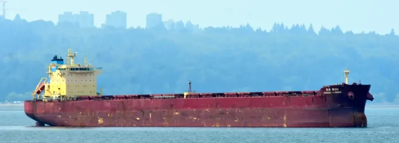 OCEAN CARRIER Bulk Carrier IMO 9624677 photo 3