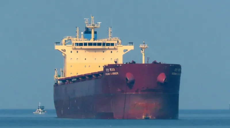 OCEAN CARRIER Bulk Carrier IMO 9624677 photo 4
