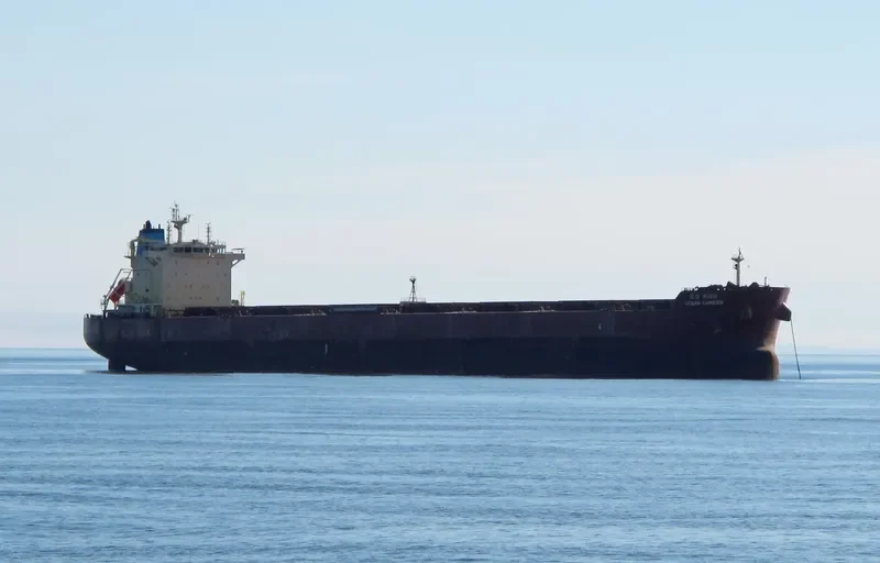 OCEAN CARRIER Bulk Carrier IMO 9624677 photo 5