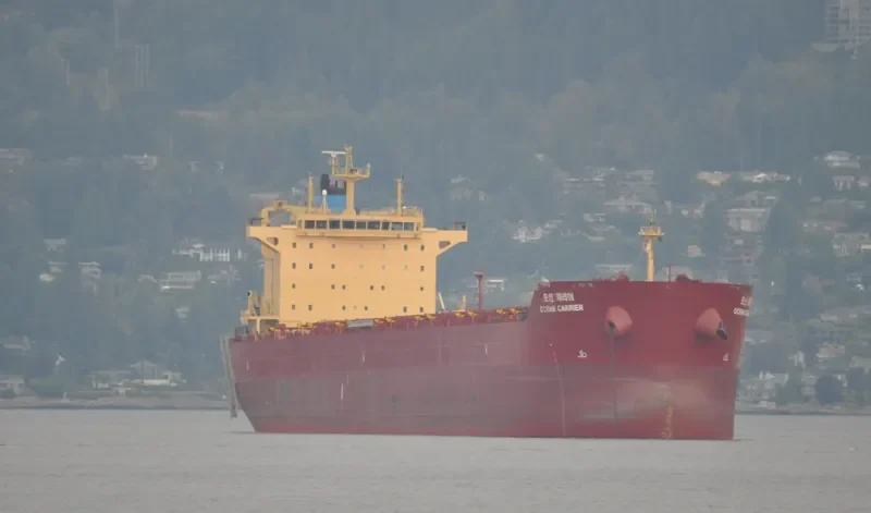 OCEAN CARRIER Bulk Carrier IMO 9624677 photo 6