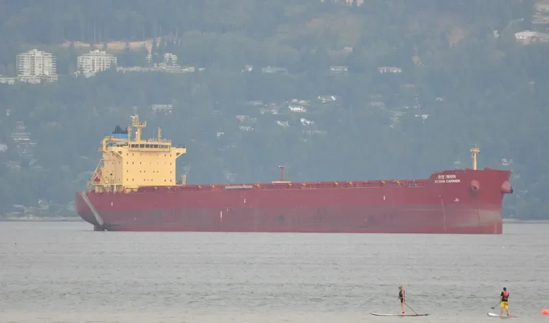 OCEAN CARRIER Bulk Carrier IMO 9624677 photo 7
