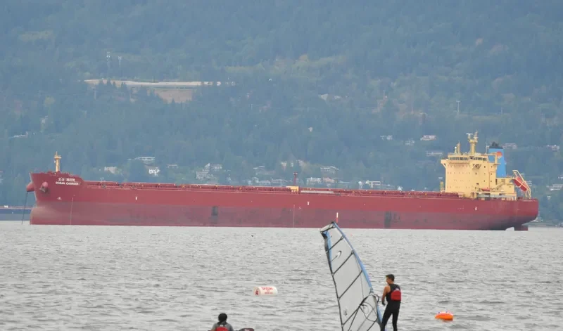 OCEAN CARRIER Bulk Carrier IMO 9624677 photo 8