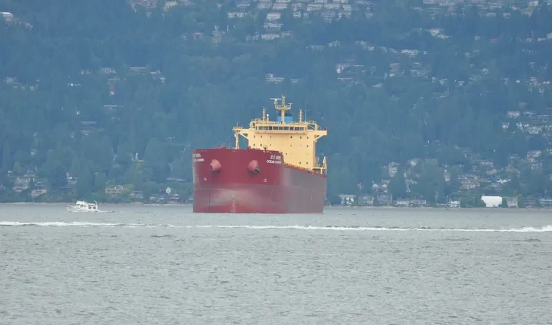 OCEAN CARRIER Bulk Carrier IMO 9624677 photo 9