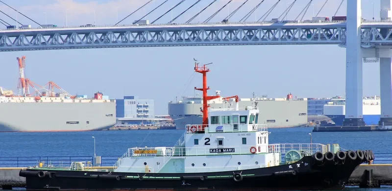 SHINSEI General Cargo IMO 9624689 photo 3