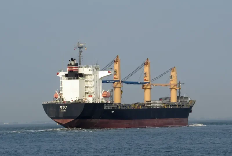 ISUZU General Cargo IMO 9624902