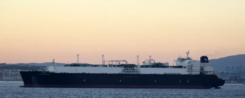 GOLAR SEAL General Cargo IMO 9624914 photo 3