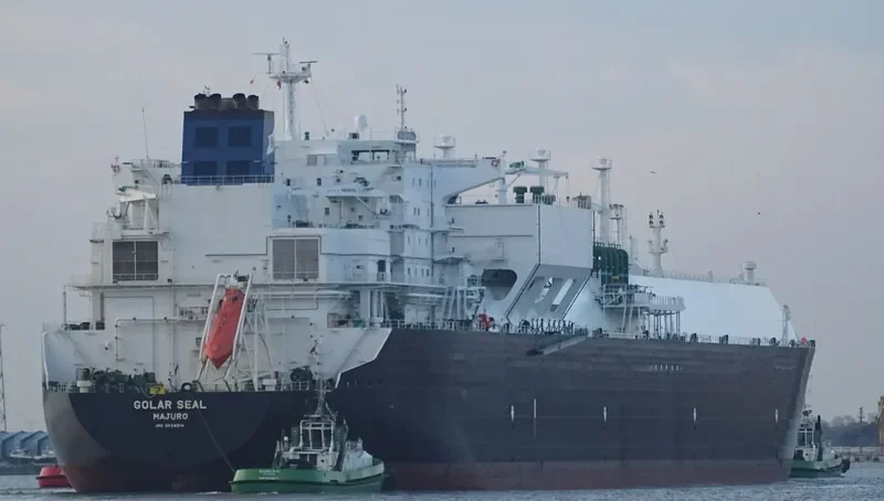 GOLAR SEAL General Cargo IMO 9624914 photo 6