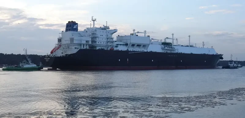 GOLAR SEAL General Cargo IMO 9624914 photo 7