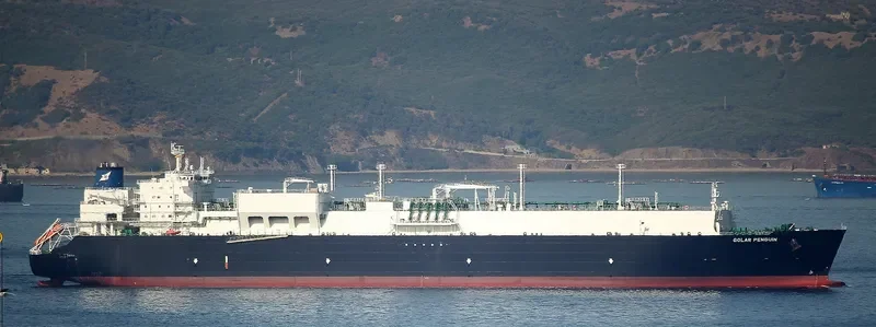 GOLAR PENGUIN General Cargo IMO 9624938 photo 2
