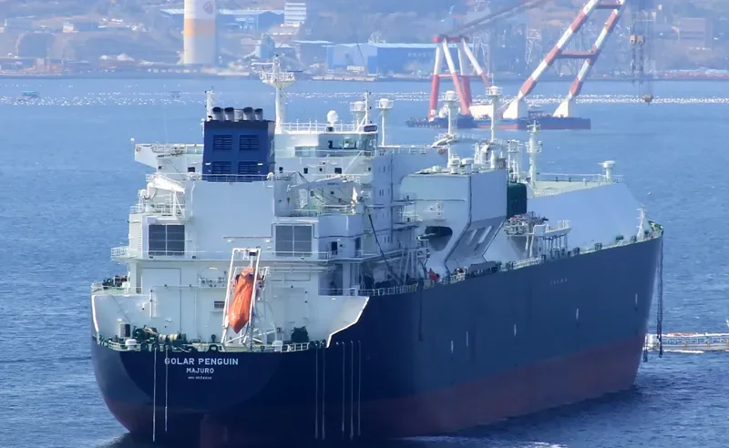 GOLAR PENGUIN General Cargo IMO 9624938 photo 4