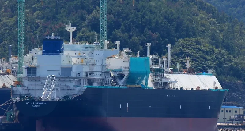 GOLAR PENGUIN General Cargo IMO 9624938 photo 6