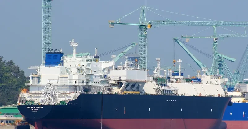 GOLAR PENGUIN General Cargo IMO 9624938 photo 7