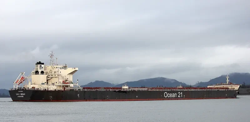 SARI INDAH Bulk Carrier IMO 9624964