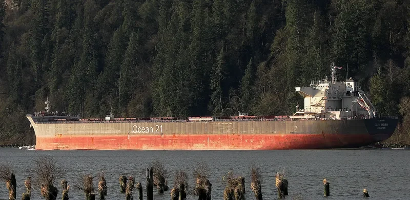 SARI INDAH Bulk Carrier IMO 9624964 photo 2