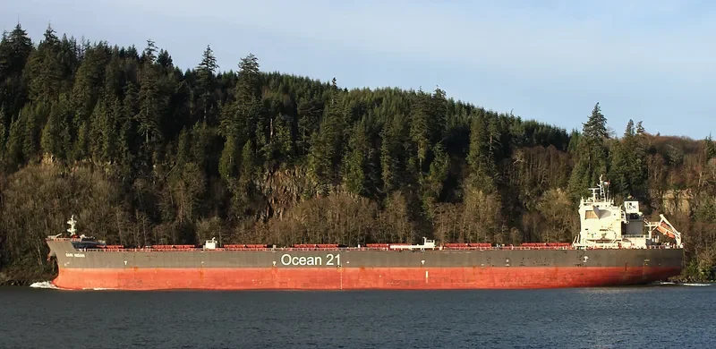 SARI INDAH Bulk Carrier IMO 9624964 photo 3